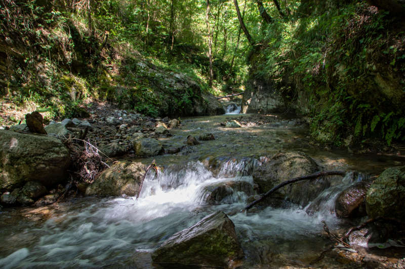 Valley of the Paper Mills - Torrent